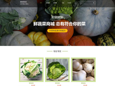 商城小程序网站定制制作-案例